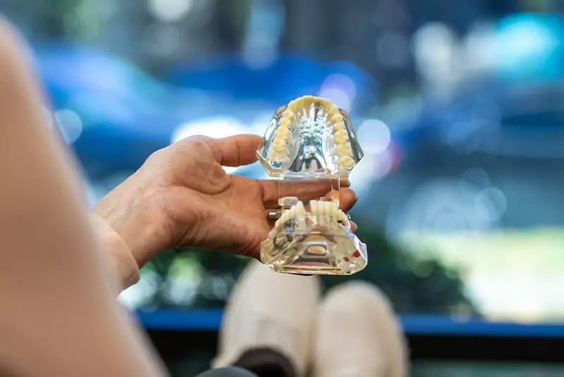 A person holds a clear dental model of a mouth and teeth, with blurred blue and green outdoor elements in the background, creating a calm tone.